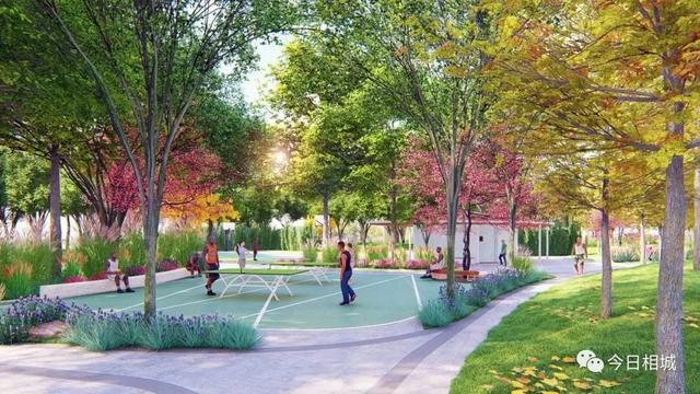 活力岛副中心规划（城市副中心活力岛）(31)