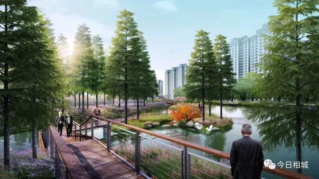 活力岛副中心规划（城市副中心活力岛）(26)