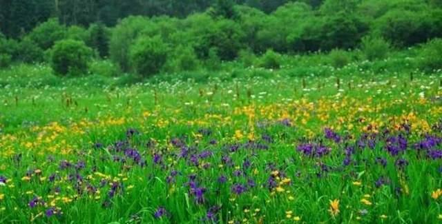 长白山旅游必去景点（盘点18个长白山必去景点）(14)