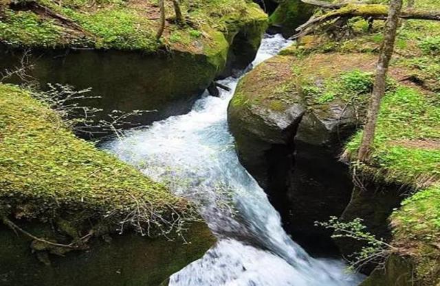 长白山旅游必去景点（盘点18个长白山必去景点）(13)