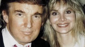 特朗普绯闻事件女主（美国知名女作家控诉特朗普性侵）(6)