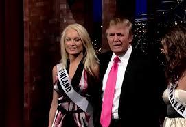 特朗普绯闻事件女主（美国知名女作家控诉特朗普性侵）(20)