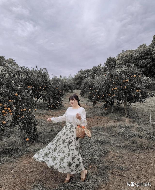 新竹市有哪些景点（推荐12个新竹一日游景点）(20)