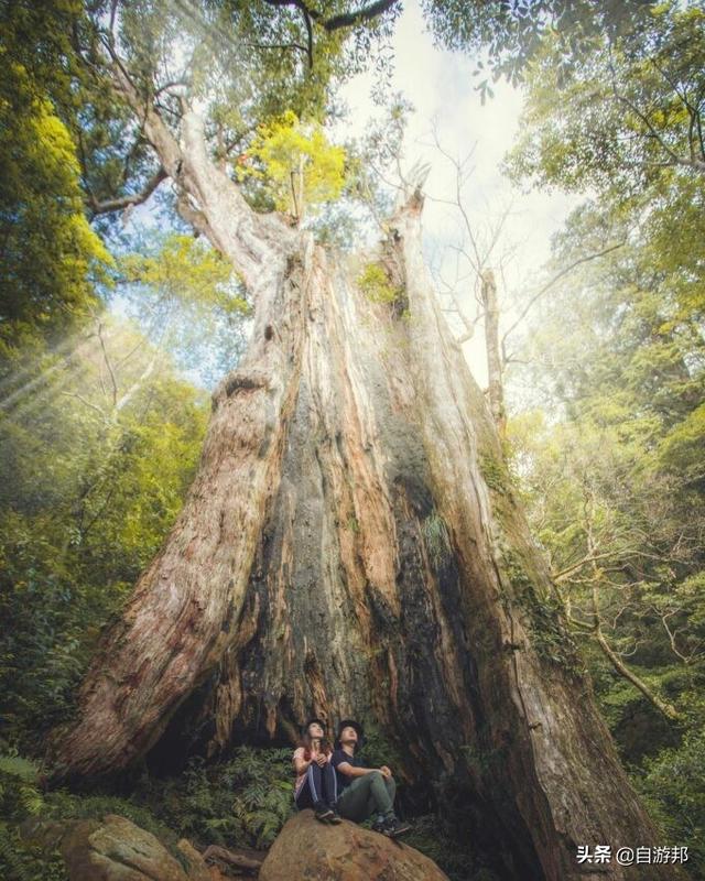 新竹市有哪些景点（推荐12个新竹一日游景点）(11)