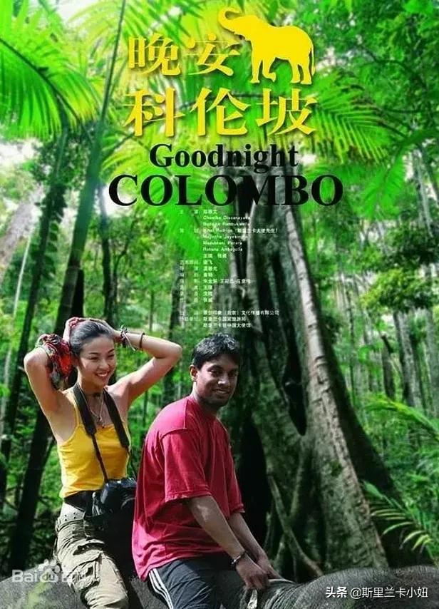 醉美斯里兰卡旅游攻略（两分钟快速了解斯里兰卡）(10)