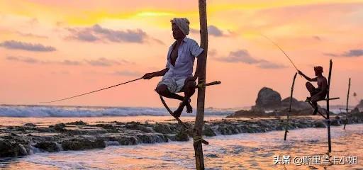 醉美斯里兰卡旅游攻略（两分钟快速了解斯里兰卡）(13)