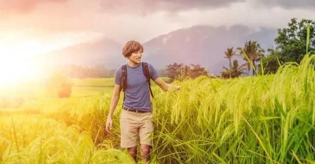 内卷太严重是什么意思，会计内卷严重是什么意思？图5