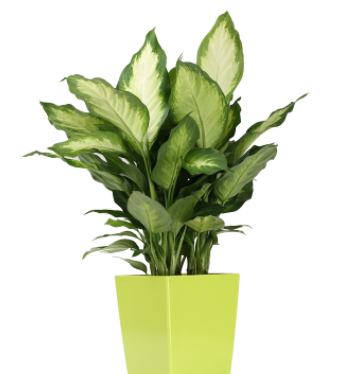 开窗通风去甲醛的正确方法,如何利用门窗合理地通风释放甲醛图6