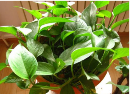 开窗通风去甲醛的正确方法,如何利用门窗合理地通风释放甲醛图24