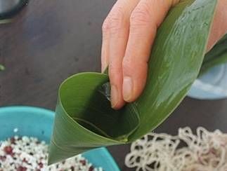 新手包粽子的简易方法