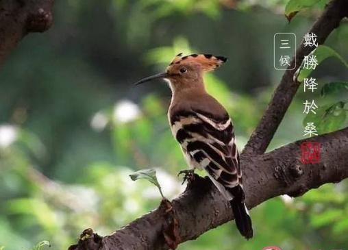 2021年的秋末冬初是哪一天