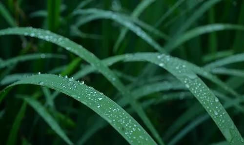 三候是哪三候，2021年的秋末冬初是哪一天？图5