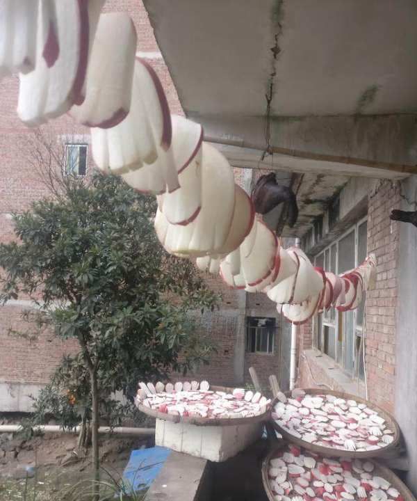 萝卜干怎么腌好吃又脆,萝卜干的腌制方法大全 脆爽图14
