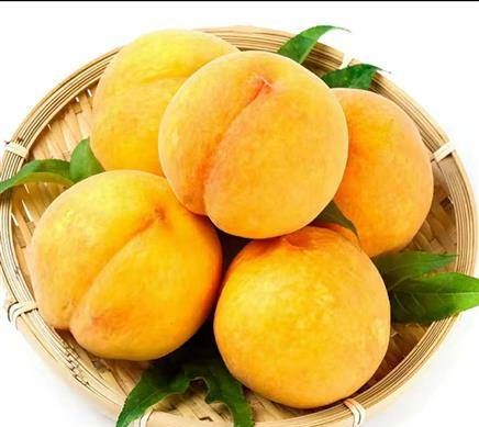 黄桃不做罐头怎么存放