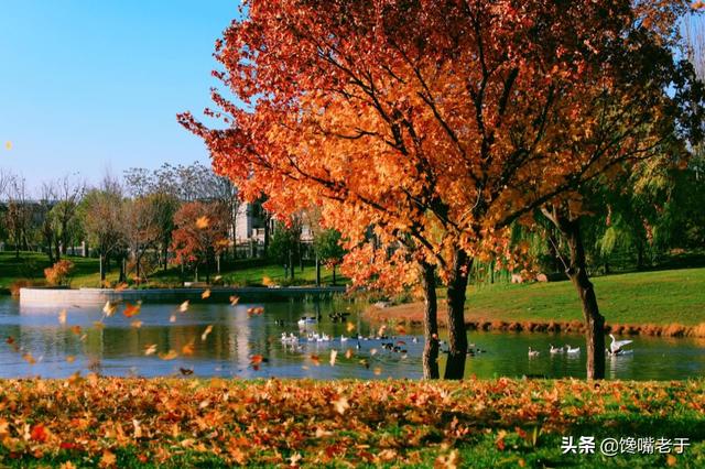 下元节的禁忌（今日下元节别忘）(13)