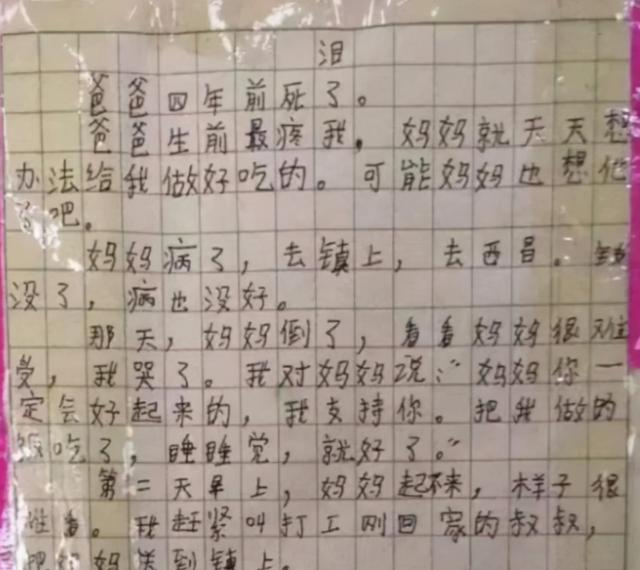 小学生竞赛作文题目（小学生作文让你炫耀走红）(4)