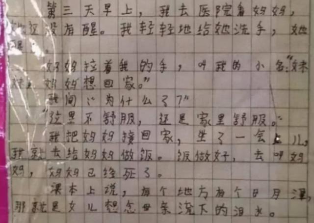 小学生竞赛作文题目（小学生作文让你炫耀走红）(5)