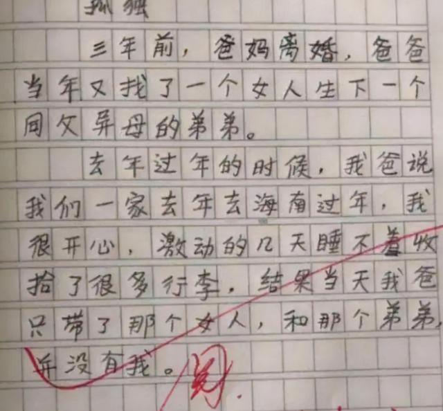 小学生竞赛作文题目（小学生作文让你炫耀走红）(7)