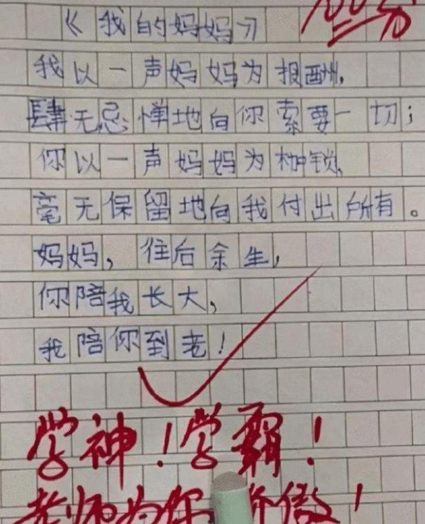 小学生竞赛作文题目（小学生作文让你炫耀走红）(1)