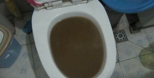 马桶堵塞了怎么办最快速度的方法