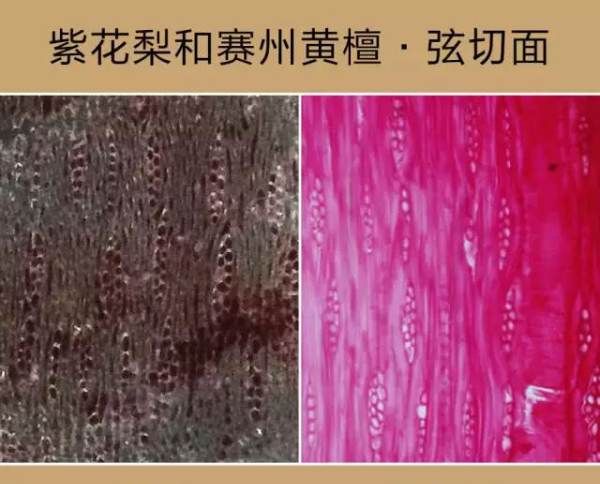 紫油梨鉴定方法,海南紫油梨专家帮我看看这两串是真得吗?图8