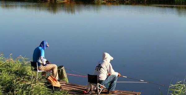 夏季钓鱼技巧大全,夏季钓鱼如何钓半水图2