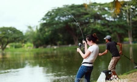 夏季钓鱼的技巧和方法