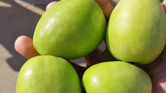 南方很甜的红色果肉的水果