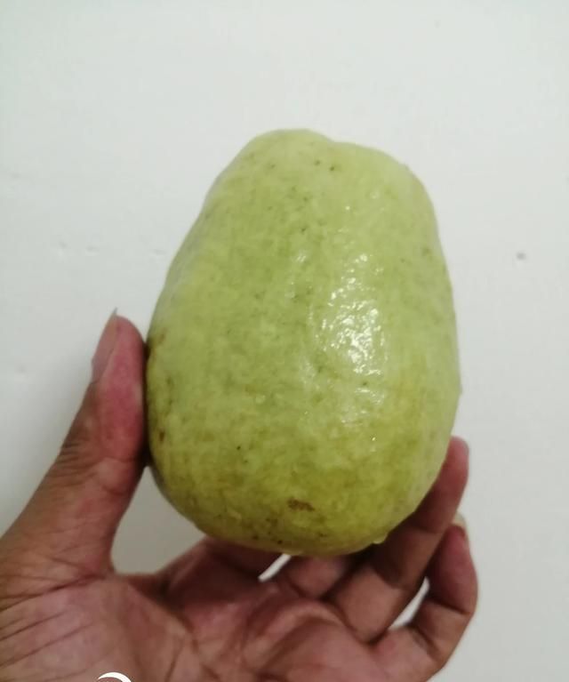 南方水果，南方水果名称大全？图5