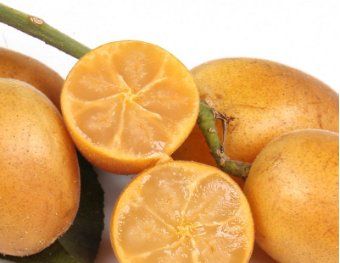 吃黄皮果的皮有什么好处,经常吃黄皮有什么好处和坏处图5