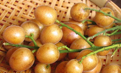 吃黄皮果的皮有什么好处,经常吃黄皮有什么好处和坏处图4