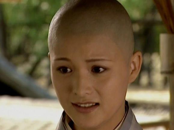 不同版本笑傲江湖仪琳（笑傲江湖仪琳扮演者盘点）(2)