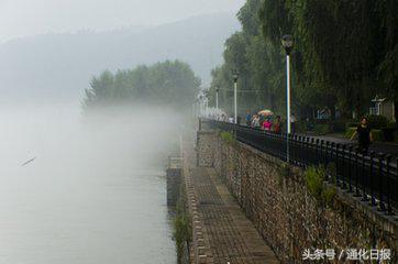 清炖鸡36种做法（清炖鸡香飘苇沙河）(1)