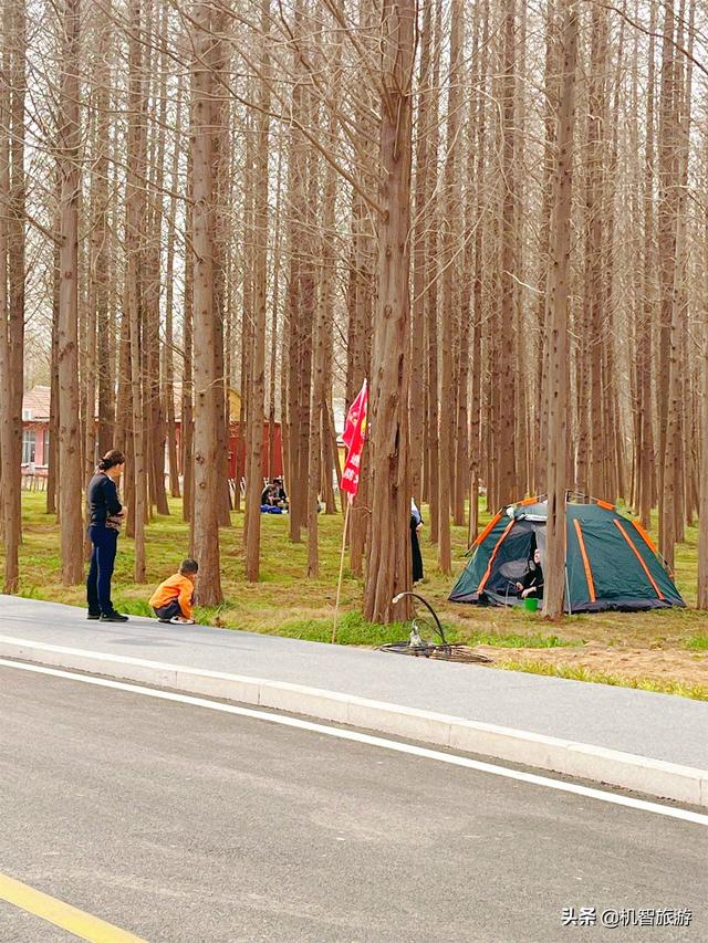 日照哪里最好玩的景点排名（日照好评率最高的几个景点全在这了）(4)