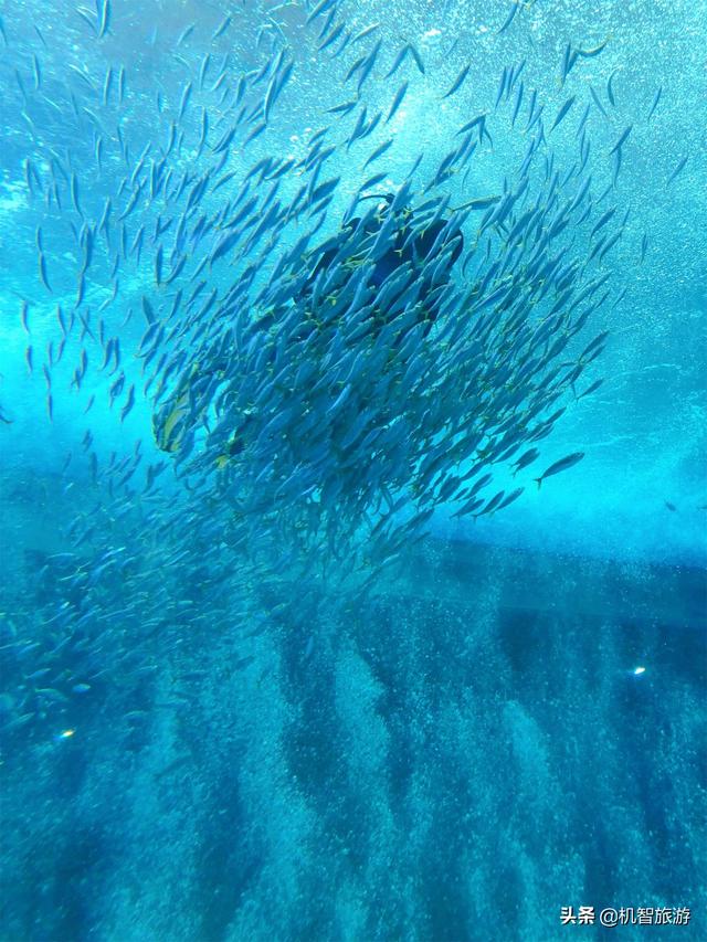 日照哪里最好玩的景点排名（日照好评率最高的几个景点全在这了）(2)