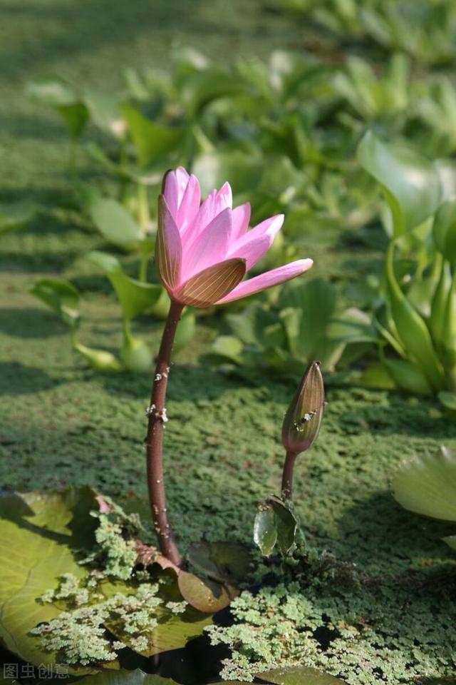 人品问题都有哪些表现（人品有问题的人有什么样的表现）(2)