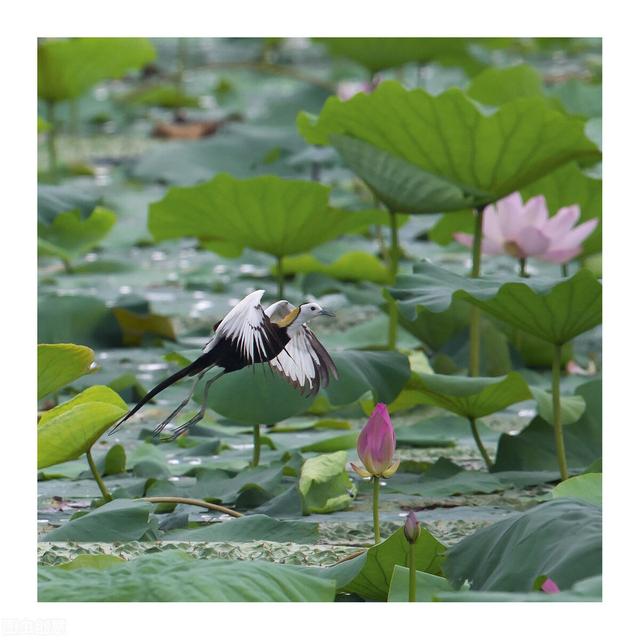 人品问题都有哪些表现（人品有问题的人有什么样的表现）(1)