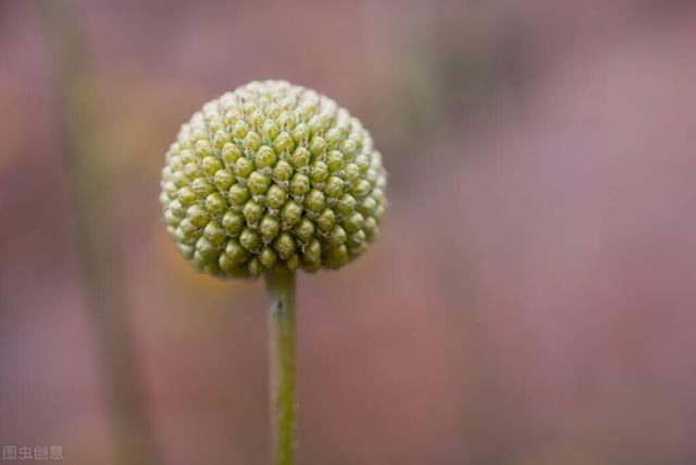 人品问题都有哪些表现（人品有问题的人有什么样的表现）(3)