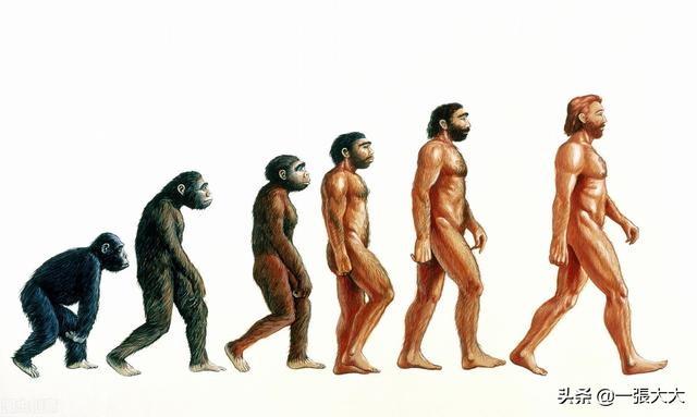 人类究竟是怎样产生的（人类是如何诞生的你知道吗）(2)