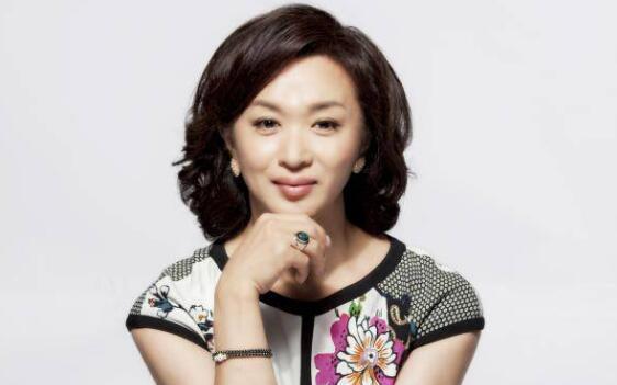 关于金星的资料（金星的简介）