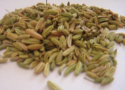 孜然的香味来源（孜然别名孜然芹）(11)