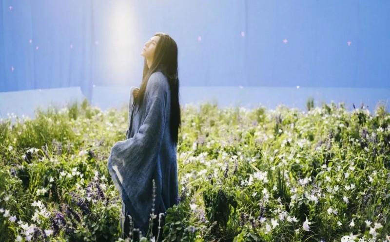 陈坤为什么叫厂花（陈坤亦正亦邪的魅力太强大了）