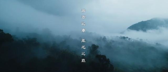 云南虫谷在哪里呢（云南虫谷的15个秘密）(4)