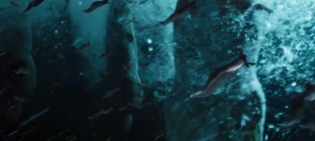 云南虫谷在哪里呢（云南虫谷的15个秘密）(14)