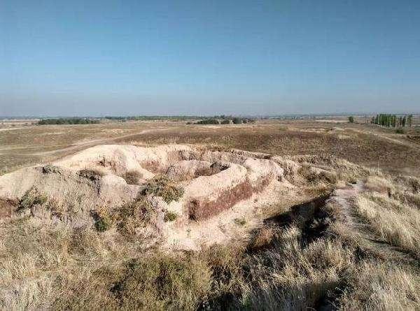 李白有尸骨的墓在哪里（中亚农民挖出一石碑）(3)