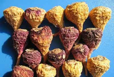 玛咖有什么功效和作用