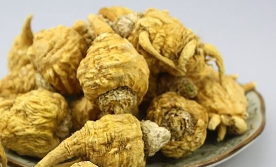 玛珈有什么用,玛珈是起什么作用的图4