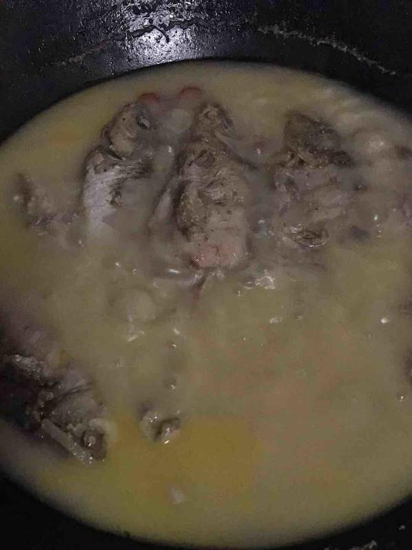 怎么清炖鱼汤最好喝又营养（味道又腥又不白）(5)