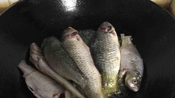 怎么清炖鱼汤最好喝又营养（味道又腥又不白）(3)