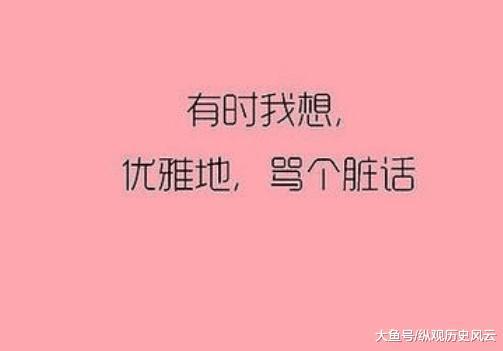 鲁迅先生的十句骂人名言（鲁迅10句损人不带脏字）(4)